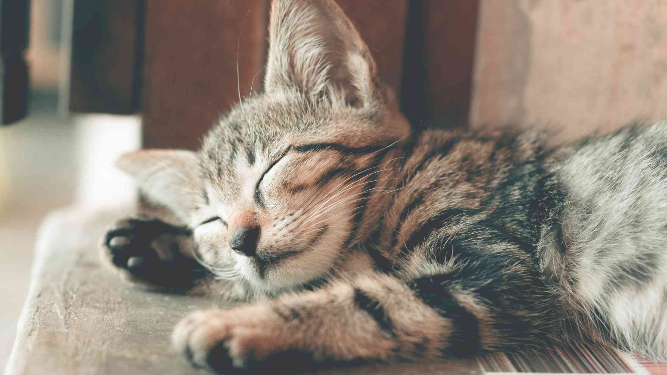8 sounds that are good for you