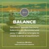 balance_program