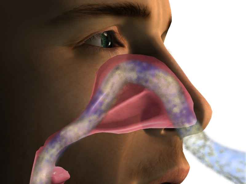 nasal breathing